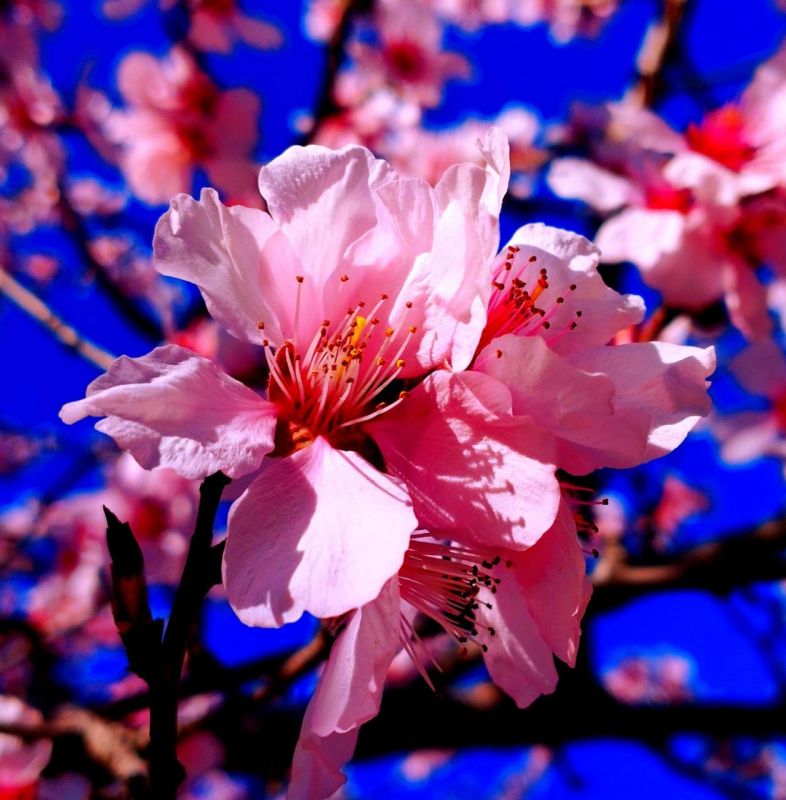 ������� ������ �� ���������������� ��������������