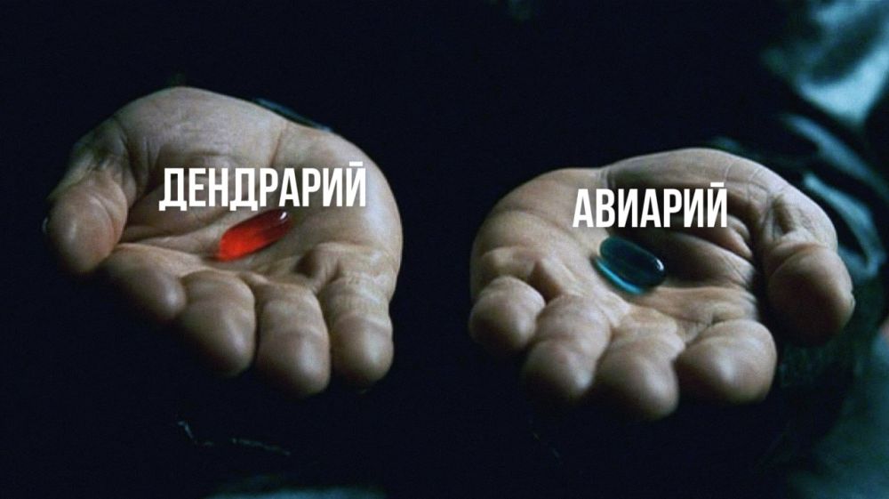 ��� ������� ����� �� ��� ����� �������