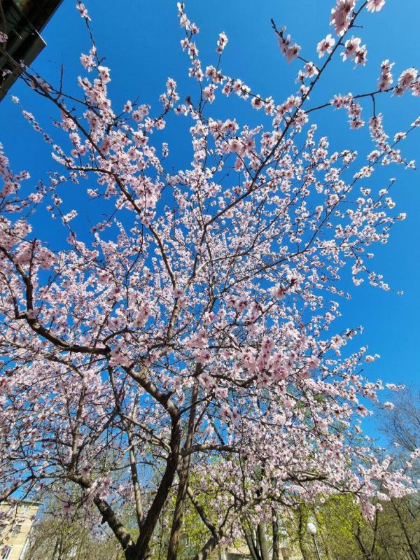 � ��������� �� ����� ������ �������