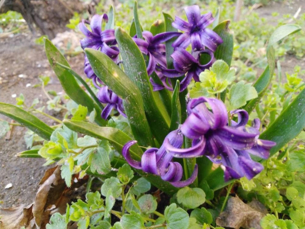 31 ����� ������� ���������� ������ � �������� � �������� ������ ����������