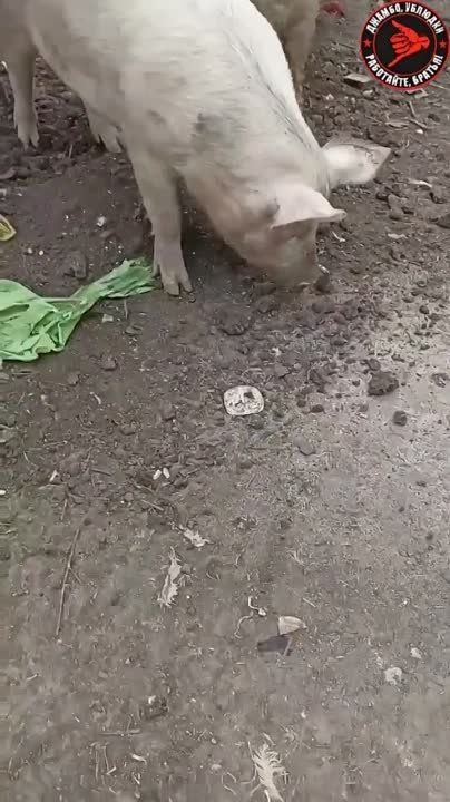 ���������, ������ �����. �� ����� ������ ���������� ������������ ������