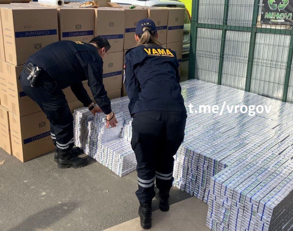 �������� �����: ��������� ���������� ������������ �������