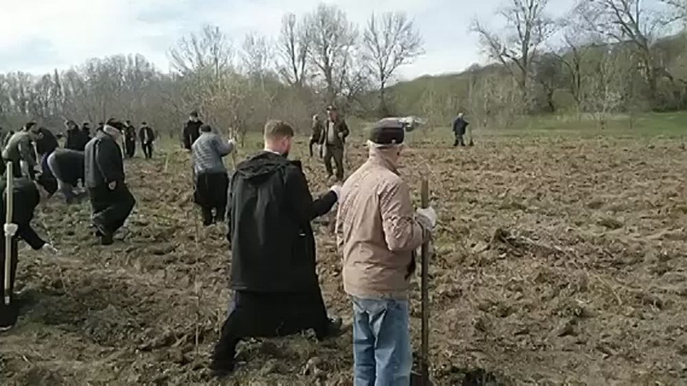 ������������� ���������� �������