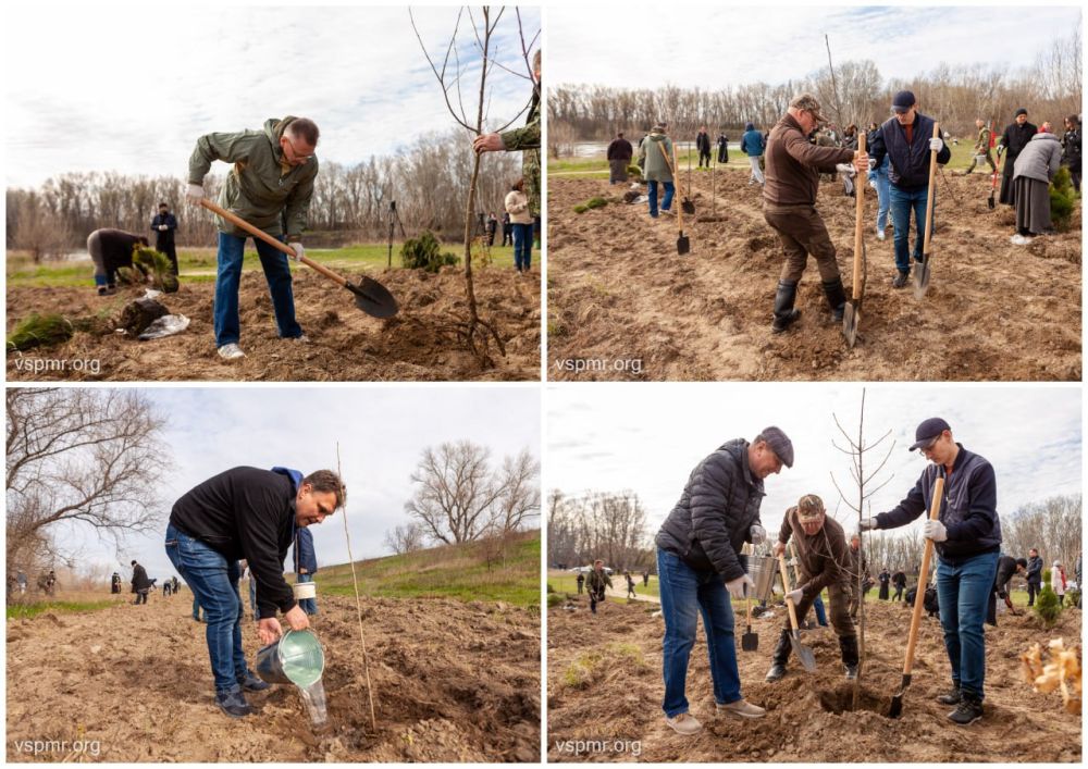 ����� ����������� �������� �������� �������