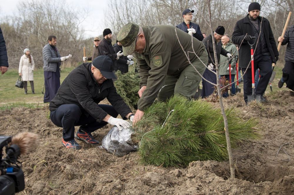 ������ ����������� �������� ��������� �������� ��������� ���������� ������ ������� � ������������� �����