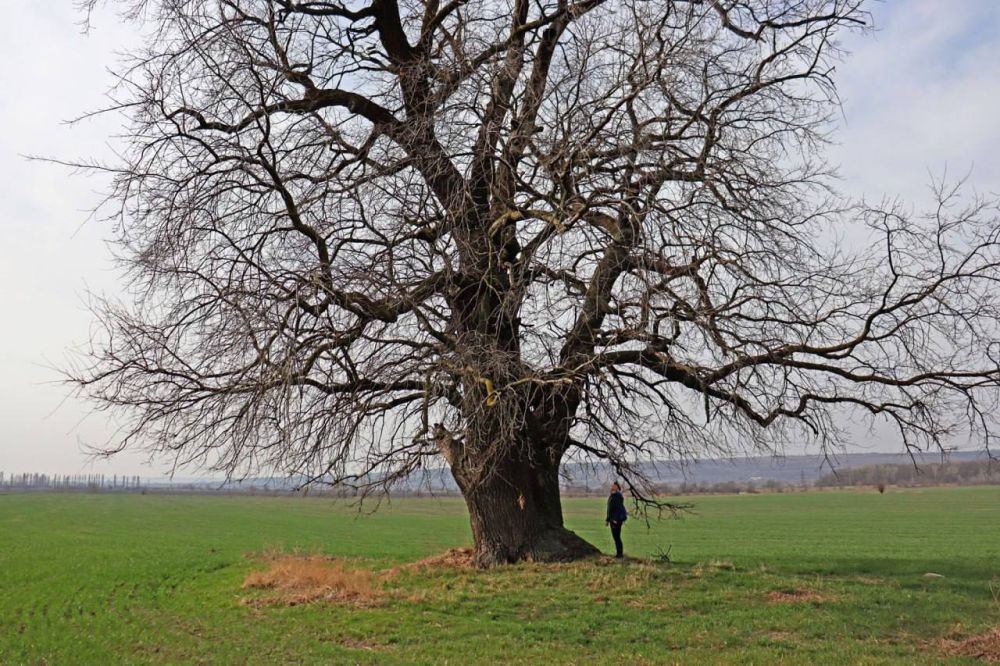 ������������� ������� �� ������������� ����� ���� �������� � ������������