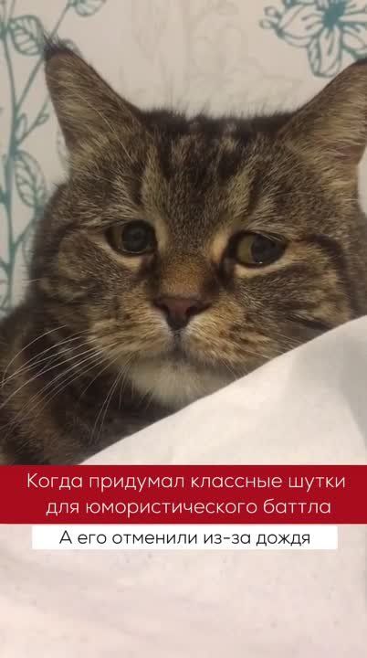 �������������� ����� ������� (������, ��� �� � ������ ������� �� ���� �� ���������)