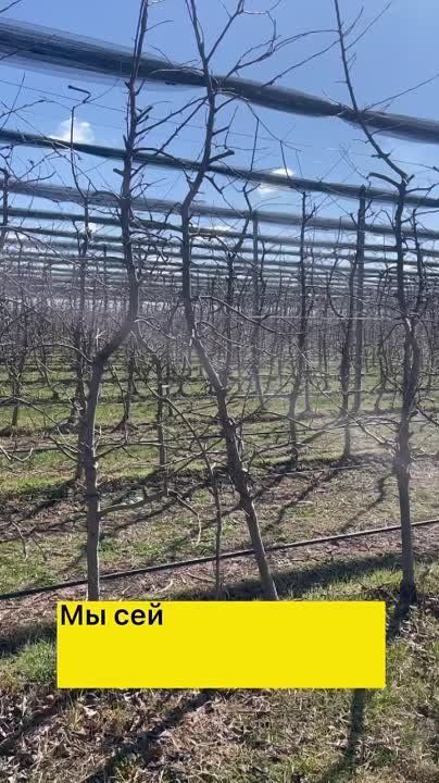 �������� � ���� ���� �����