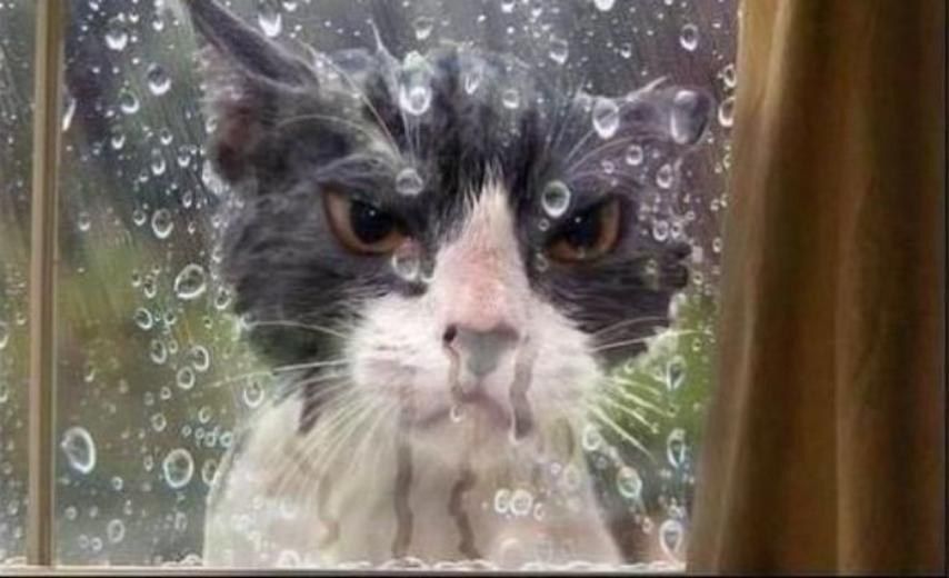 ����� �� ������� � �� ��� �������� ������� ���������