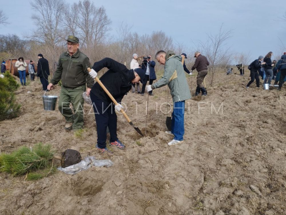 � �������� ������� �������� �������