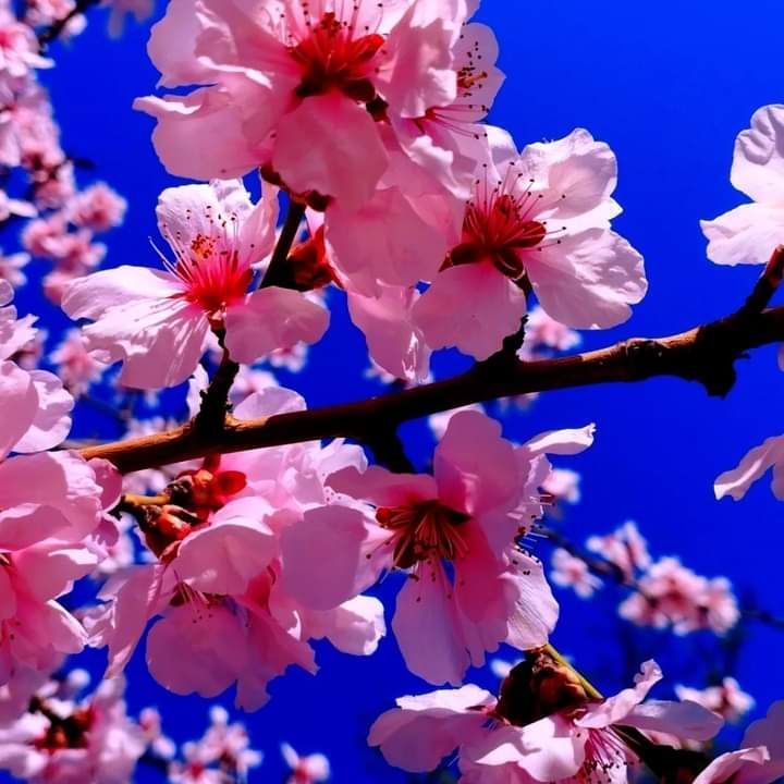 ���������. ��� �������� ���������!