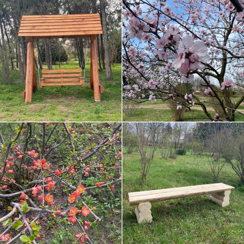 ������ ����������� ���������� � ���������