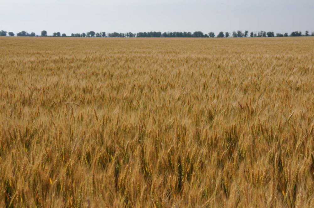 �������� ��������� � ������ �������� ������ ���������