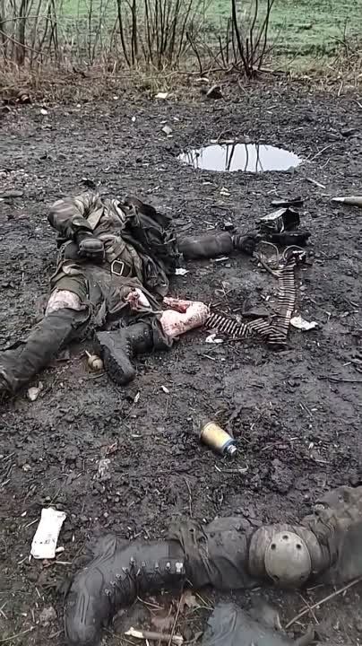 ����������� ������� ���-1 ��� �� ��������� �����������, ����������� �������