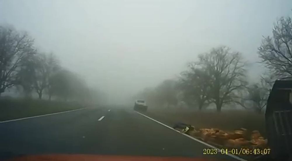 ��� � ���� ���������� ���������� ������ ������� �����, ����� ��� ������� �����