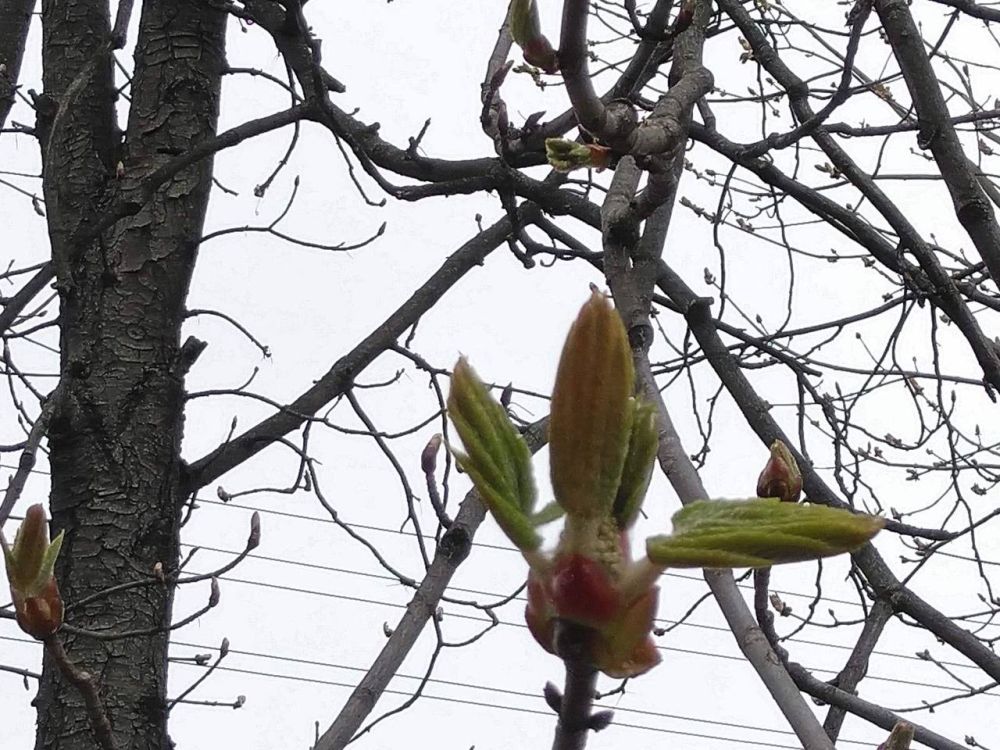 ������� �����. ���� � ����� ��������� ������ ����� ����� ������� ������ ������