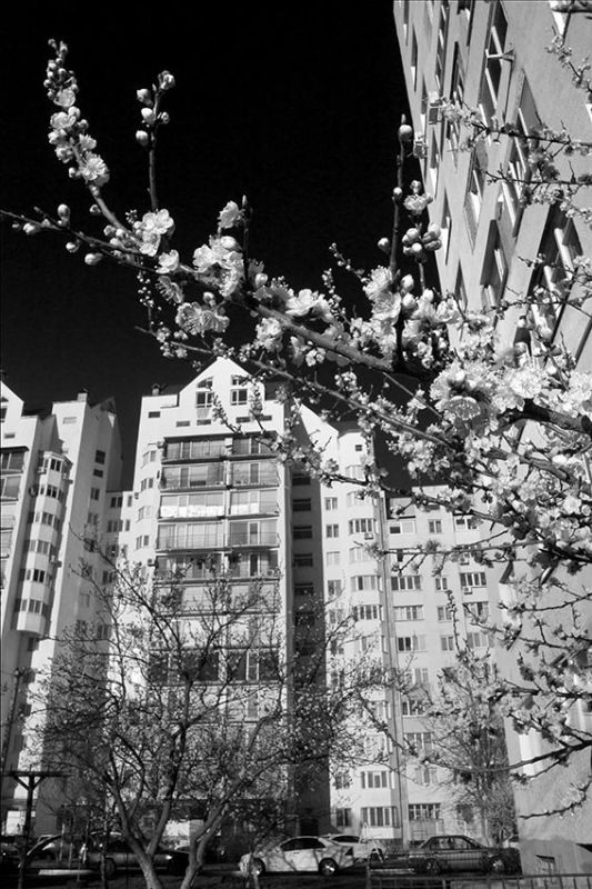 ����� ����� �������� ���������� � ���������� ����� ������ ������� � ����� ���� ��������� �������������� ����� � � ���, � ���� ��� ������� � � ����������� ���������