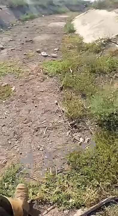 ���������� �����������. ������ ��� ������ ��� ������� �� ��