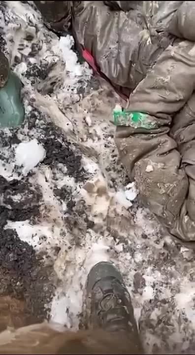 ���� �� ����� �������� ���������� �������� ������� ��� ���� ���� ��� ������ �����