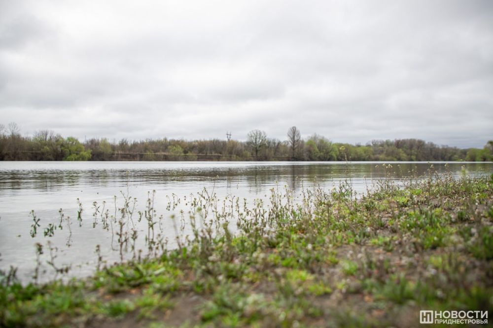 �� ��� ��� ������ �������� �� 2,2 �����