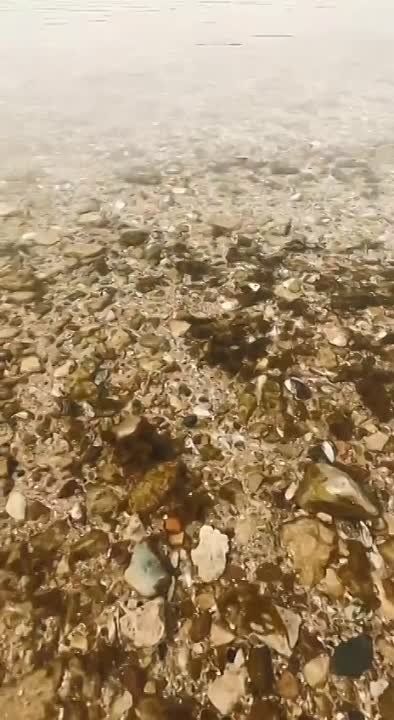 ���� �� ����� ����������� ����� ��� �������� ��� � �������� �����