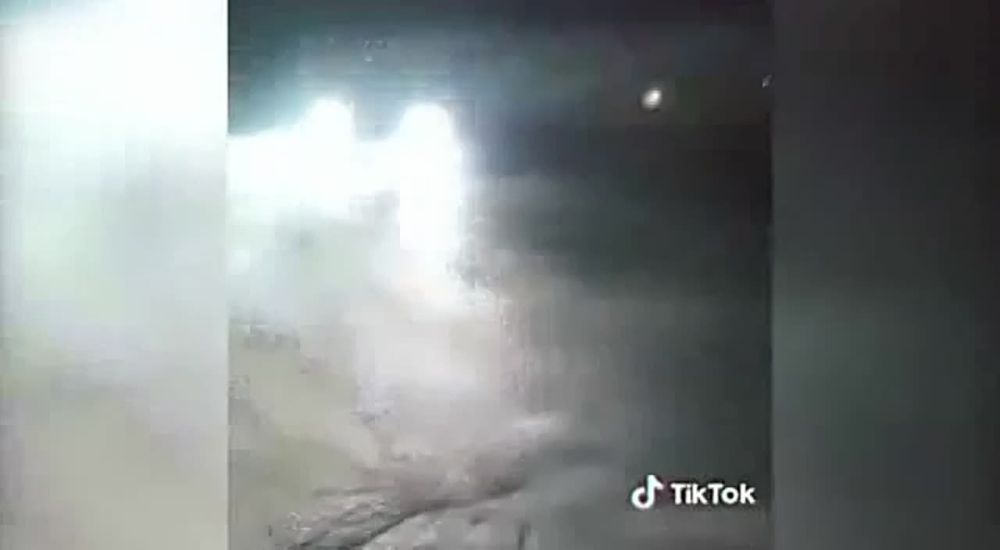 ���� �������� ���� ����� � ������� ����� �� ������� ��������