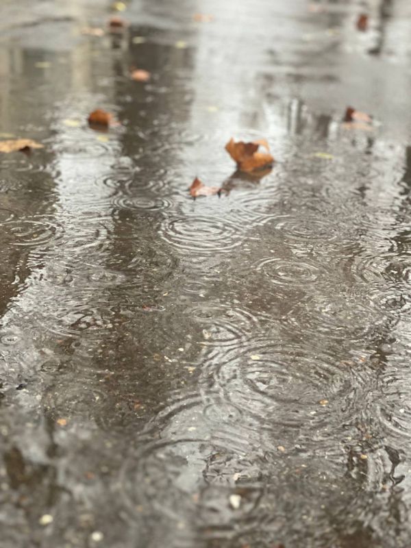 � ������������� ����� ��� ������� �� ����� ������