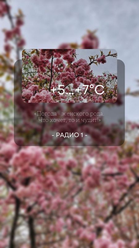 5 ������ ��������� �������� ������, ��������� �����, ���� ������� �������