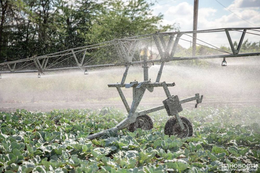 � ���� ���� � ������������� �������� ����� ���������� �������� �������