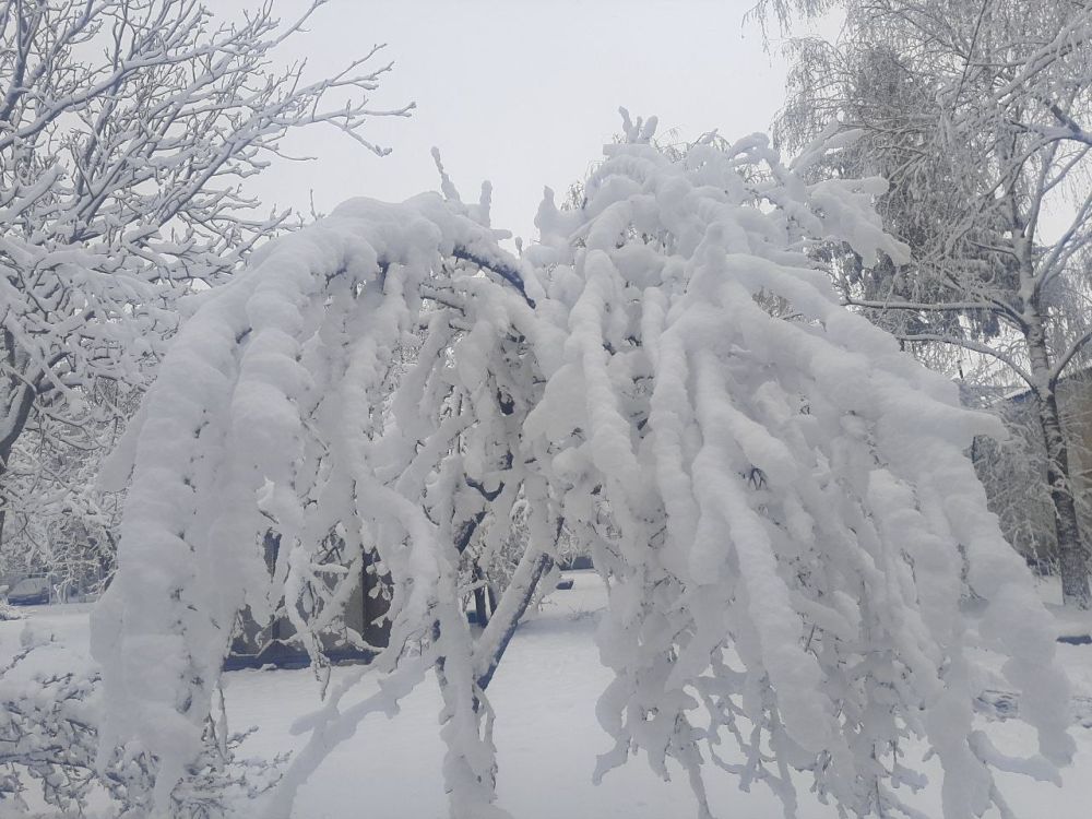 �� ������ ������� ��� ���� ��� ����