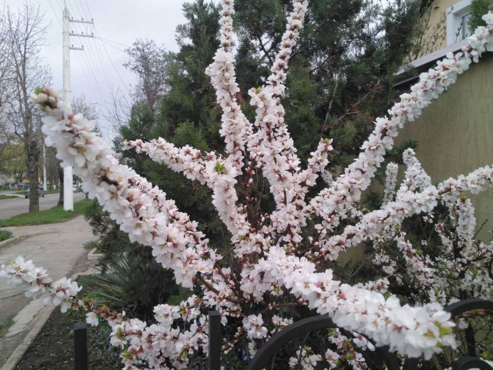 � �����, 5 ������, ��� ������� ��� � ��������� �� ���������� �����, � ������ ����� ����� ������ �������