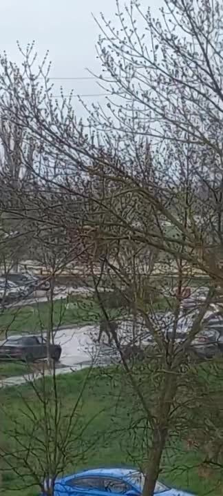 � ���� ��������� �����, ��� ������������, �� ������������� (����)