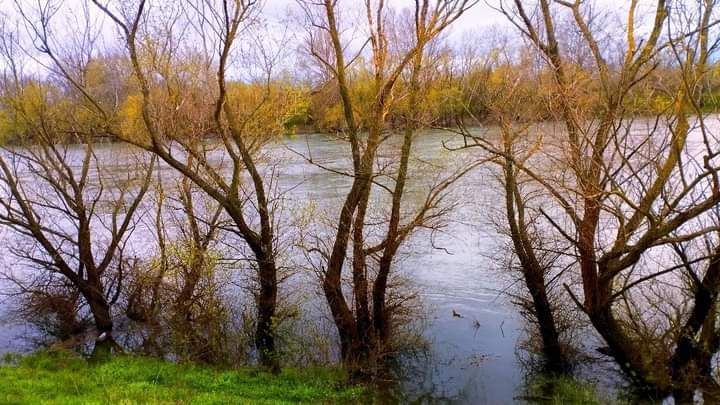 ���������. ������� �� �������