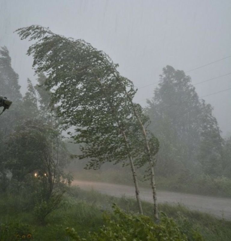 ����� �����������:. � ������� ���� � �����;