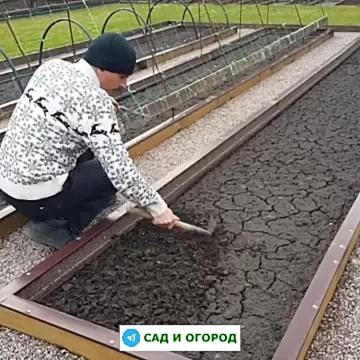 ��� ������ �������� ����� ������� �������!