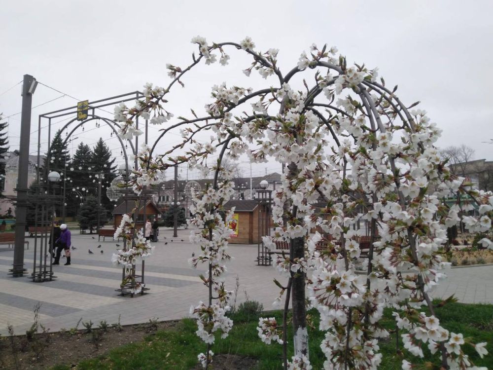 +6�� � ������� ������������� �������� �� �������