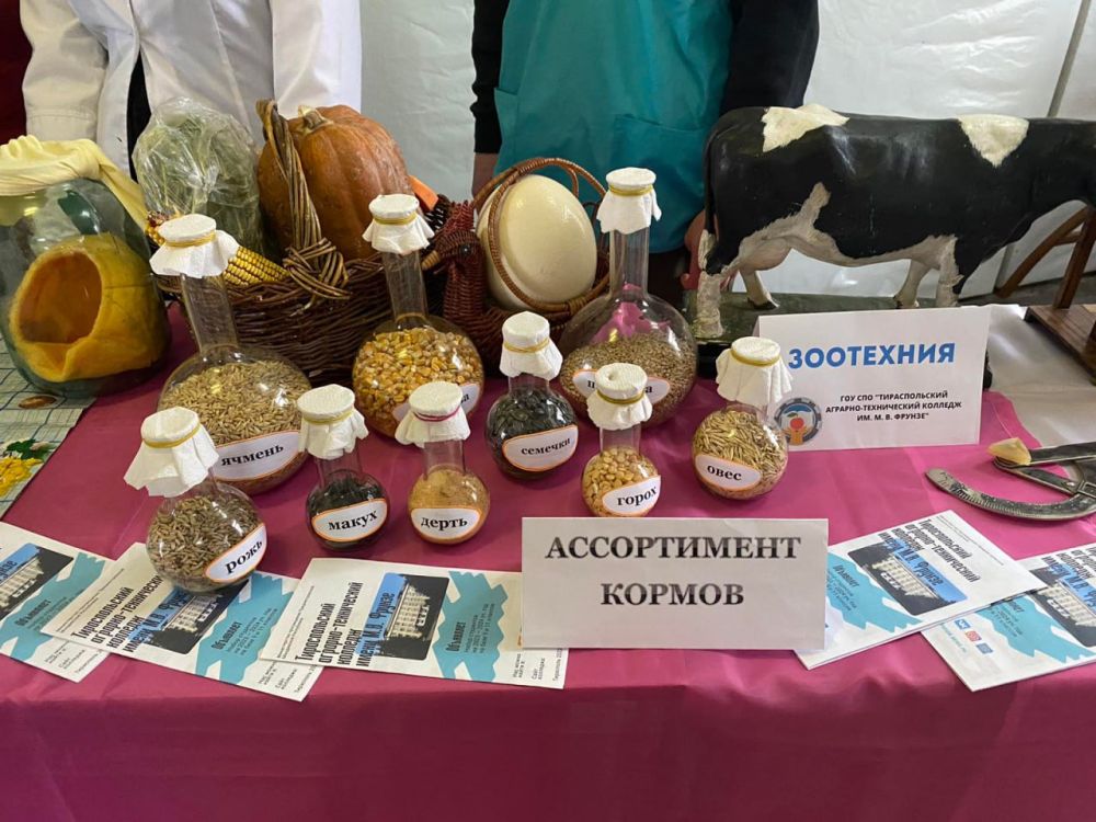 � �������-����������� �������� ��. ������ ���������� ������� ��������