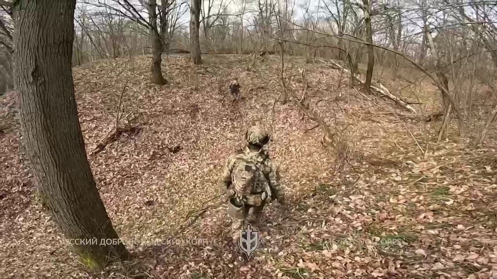 ���������� ���������� �� ��������� ���������������� ������� �������� ����� ������������� � �������� �������