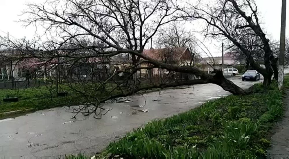 ����������� ��������� ��������