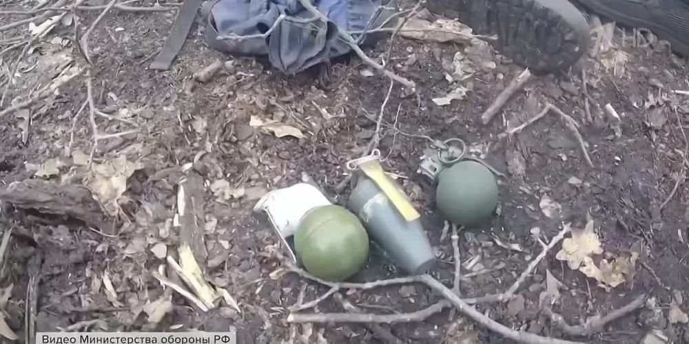 ���������� ������ ���������� ������������ �������������, ������������� �� ������ ��� ������