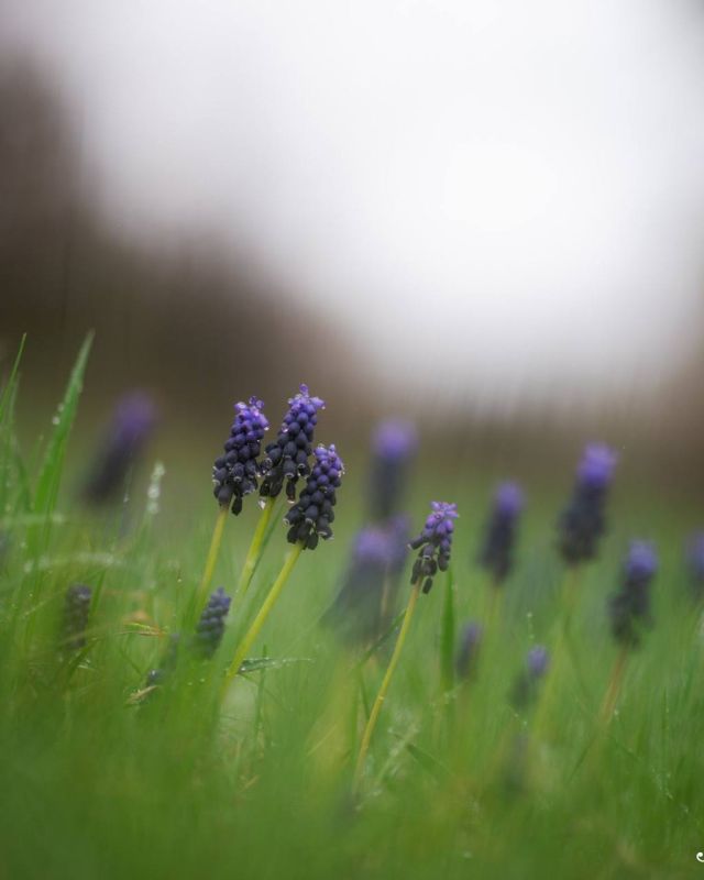 ����� ������ ����������� ��������� � �������������