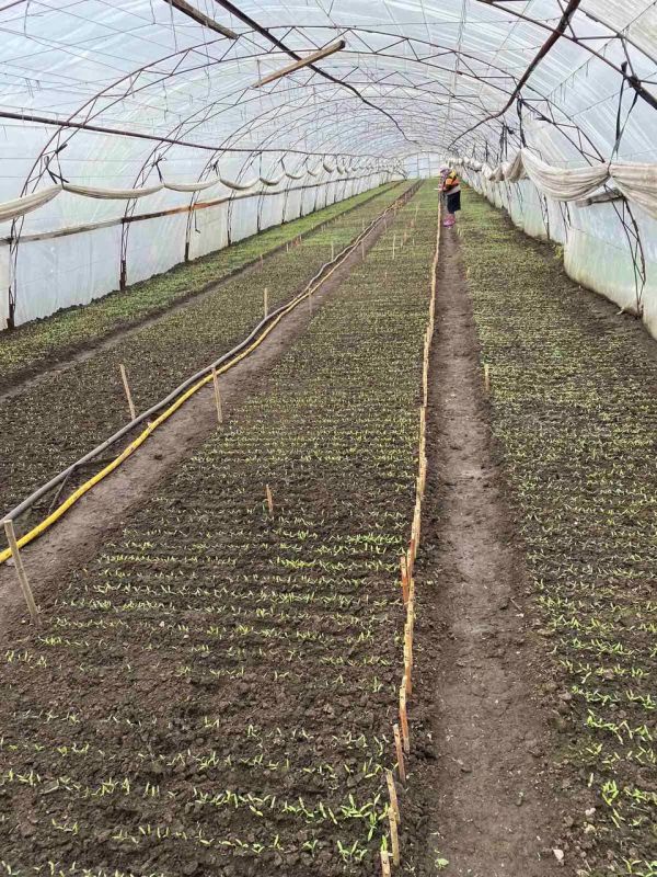 100 ����� ������ ������� �������� ���