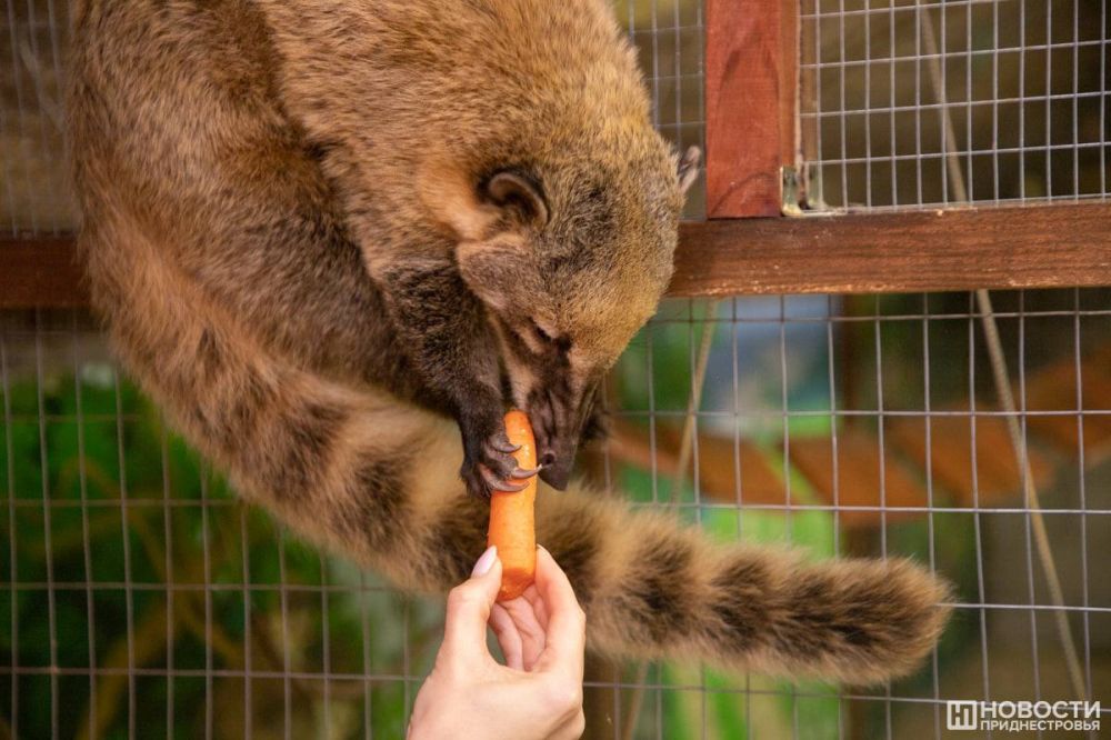 ����-����� �� ������ ������ ��������� � ���������� �������� �����������