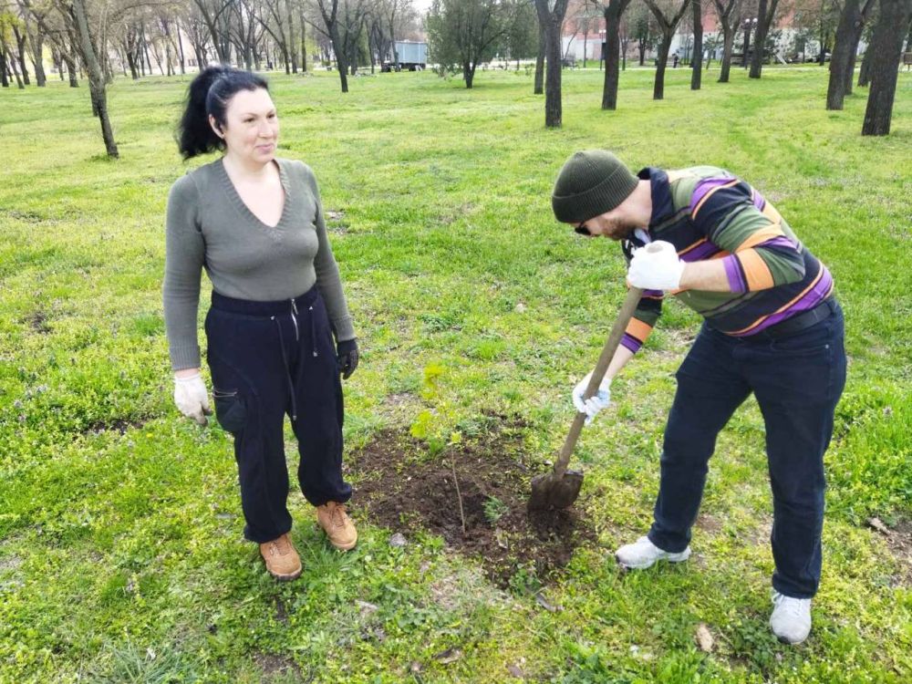 ���-��������� �������� � ���������� ����� 20 �������� �����