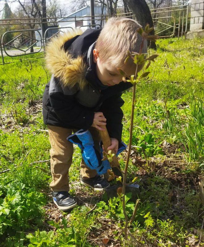 ���� � ���� ������ ���� � ��� �������