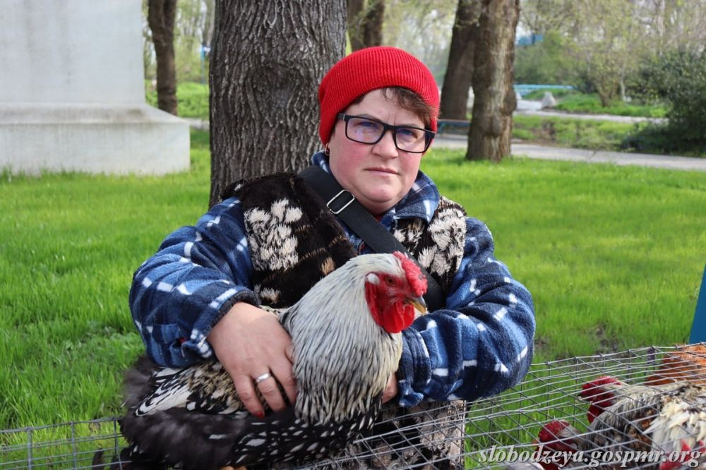 � ����� ����� �� ��������� �������� ������� ������ ���������, �������, ����� � ���������