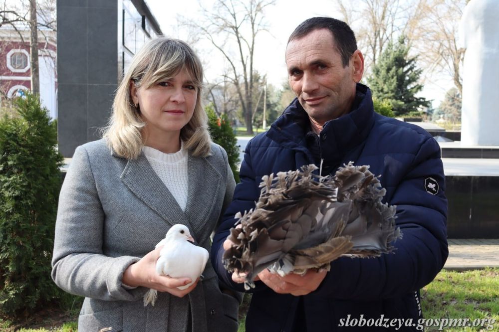 ��������� �������� � ����� ���������� ����������� �� ��������-������� �������