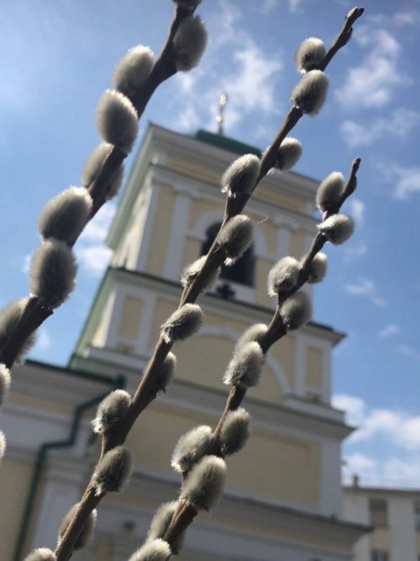 ������������ �������� ������� �����������