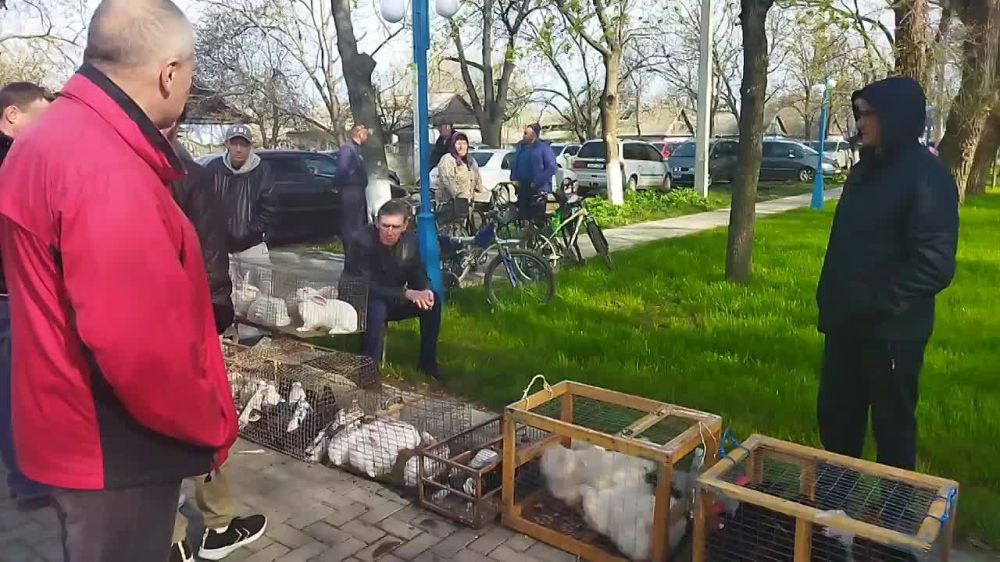 � �������� ������� ����������