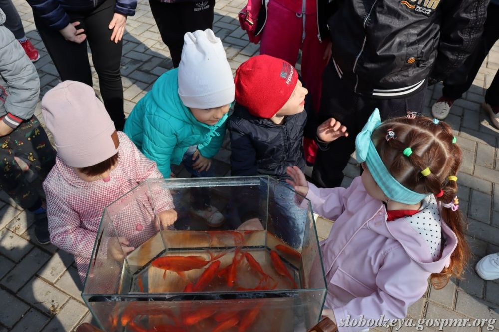 ���� ���������� ������� ������ ������������ � �������� ������, ������� ����� ������� � ���������� ���� ��������, ����� ��������� � ���� �� ��� �����